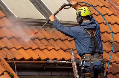 Démoussage et hydrofuge de toiture à Luby-Betmont